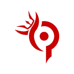 Team Paradox