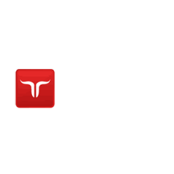 Jetbull